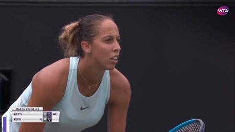 全面布局青 全面布局青