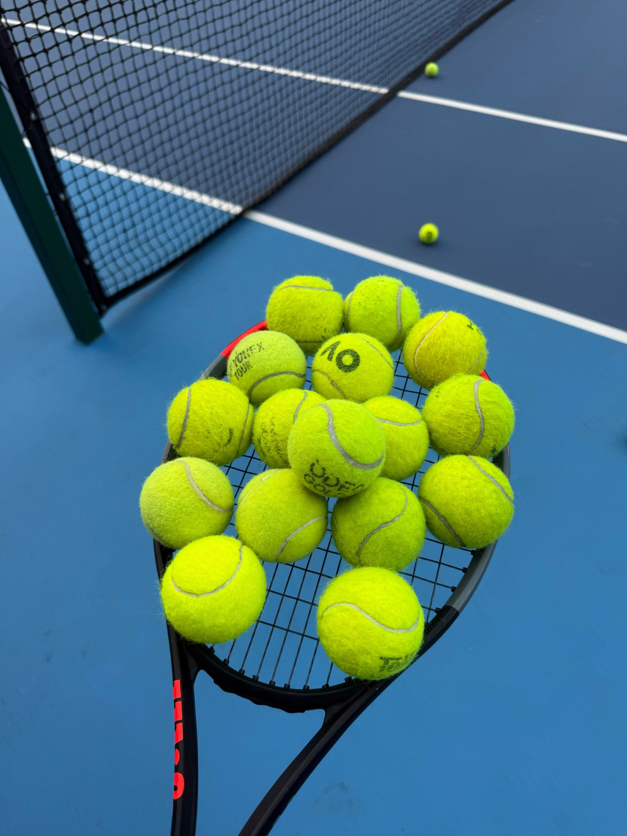 力的体现 力的体现