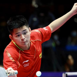 明了体育的 明了体育的